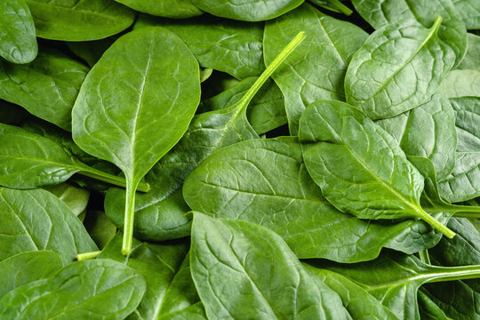 Fresh, green spinach leaves as background top view