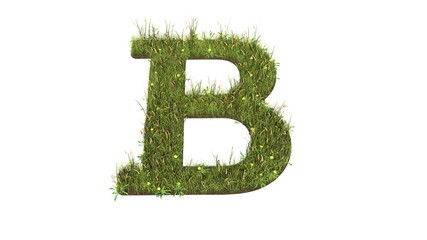 3d rendered grass field of symbol of bold isolated on white background