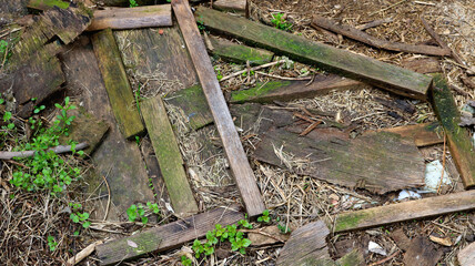 remains of wooden planks abandoned in the ground of nature from an old house or rural construction