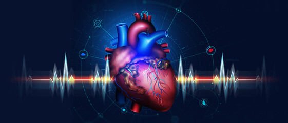 Naklejka na ściany i meble Human heart anatomy 3D illustration. High technology and medical research. Online diagnostics of internal organs
