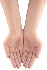 Fototapeta premium Close up hands of girl isolated on white background. Woman hands gesturing isolated on white background.