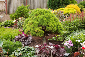 Garden near Vilkaviskis town. Lithuania