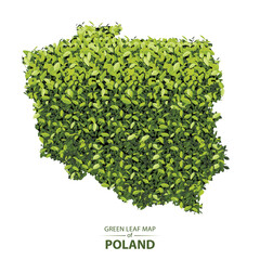 Green leaf map of Poland vector illustration of a forest is concept