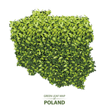 Fototapeta Green leaf map of Poland vector illustration of a forest is concept