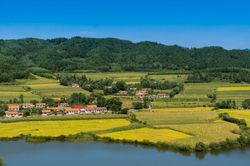 Obraz premium Overlooks the harvest of rice fields and rivers in Benxi, Liaoning Province, China, in autumn.