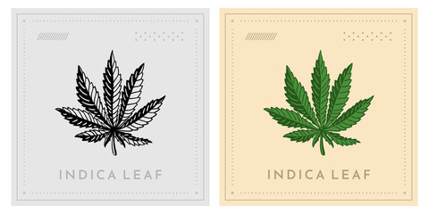Indica marijuana leaf vintage retro illustration - obrazy, fototapety, plakaty