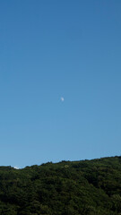 half moon