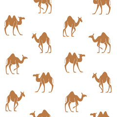 Cute camel - seamless trendy pattern with animal in various poses. Contour design print.