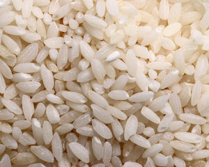 Short grain pilaf polau risotto rice closeup on white background