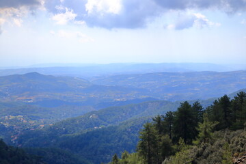 Naklejka premium Landscape with pine tree on mountain valley near caledonia trail in the troodos mountains in Cyprus
