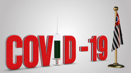 Sao Paulo vaccination campaign and Covid-19 3D illustration.