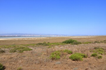 Limassol Salt Lake (also known as Akrotiri Salt Lake) is the largest inland body of water on the island of Cyprus, in Akrotiri and Dhekelia, United Kingdom, an overseas territory