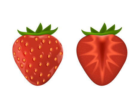 Appetizing fresh strawberry. Red ripe 3d realistic strawberry Whole and cut in half.