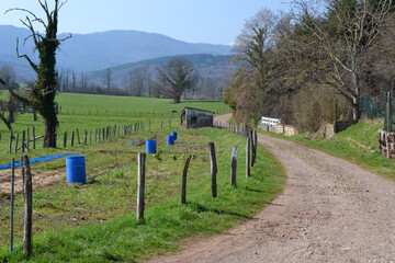 Conteneur bleu, r&eacute;servoirs bleus, r&eacute;serve d'eau, bidons bleus dans un champ, bidons bleus pour l'eau dans le potager