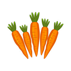 Cute carrot isolated on white background. Vegetables with carotene. Illustration for printing in grocery online stores, children's decor. 