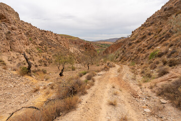 Fototapeta na wymiar dirt road in a mountainous area in southern Spain