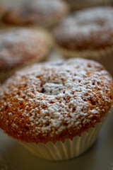 muffin con gocce di cioccolato piccola pasticceria