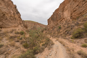 dirt road in a mountainous area in southern Spain