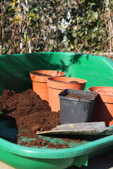 Sowing seeds in potting compost in plant pots in the sunshine. Shot vertically.