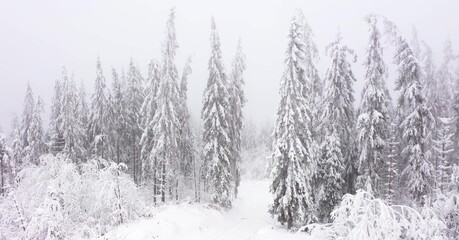 Florida Wonderland High Quality and Beautiful Natural Wallpaper 
