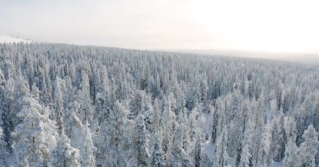 Florida Wonderland Natural Wallpaper in High Definition
