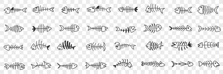 Fish bones pattern doodle set. Collection of hand drawn various shapes of fish bones skeleton with head isolated on transparent background - obrazy, fototapety, plakaty