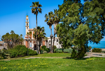  Spring flowers in front of  St Peter's church in old town of Jaffa  over  Mediterranean sea. Tel Aviv, Israel.