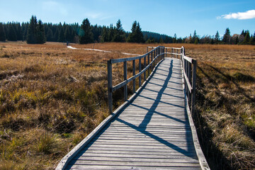 wooden walkway through the peat bog - Boží Dar, Krušné hory, Czech Republic	