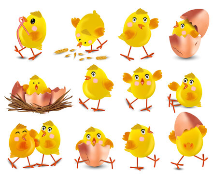 Collection of cute yellow chickens. Funny cartoon chickens for your design. Easter chicks on white background. Chicken hatching from an egg. Vector illustration.
