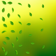 Falling green leaves. Fresh tea random leaves flyi