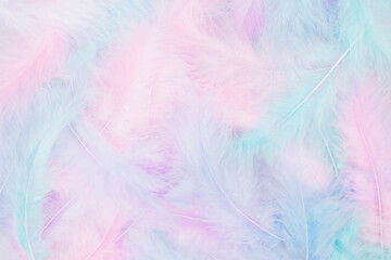 Beautiful multicolour feathers background in pastel pink, blue, mint and purple colors. Minimal...