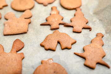 Fototapeta na wymiar Baked gingerbread cookies in various shapes without decorations, lying on baking paper