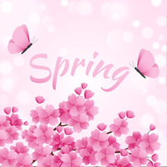 Blooming beautiful pink spring sakura, flying butterflies and calligraphic inscription. Vector illustration.