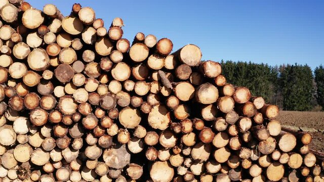 a felled tree stack in the sun filmed with sidewards movement