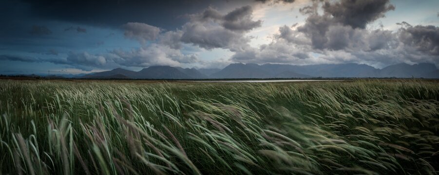 Wide angle landscape image of a grassland in the western cape of south africa during a thunder storm