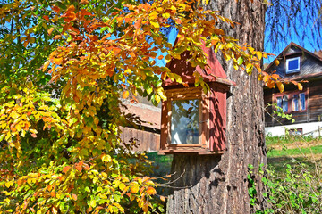 A close up on a small handmade wooden shrine hanged on a deciduous tree  of it behind a layer of glass seen near old wooden house during autumn sunny day