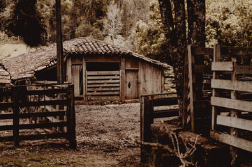 beautiful historical old farm house