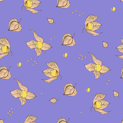 Raster seamless pattern with colored autumn phyisalis on violet background.