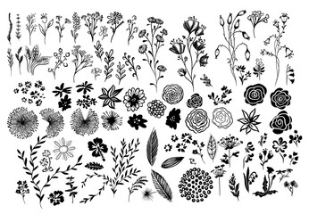 A set of monochrome floral elements. Vector illustration © Мария Неноглядова
