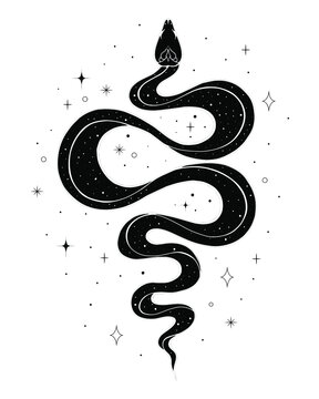 Celestial snake Illustration. Logo with snake and stars and dots. Mystical black animal logo. Hand drawn poster with stardust and black snake