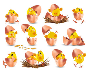 Collection of cute yellow chickens. Funny cartoon chickens for your design. Easter chicks on white background. Chicken hatching from an egg. Vector illustration.