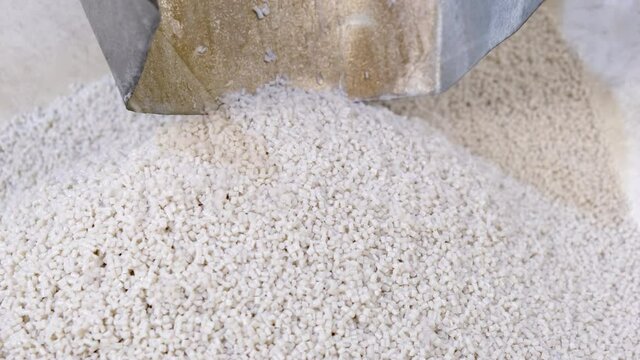 White secondary processing plastic granule comes out of the granulator crusher into small granules. Concept of plastic recycling, production of secondary raw materials. White Plastic pellets crumbles