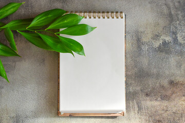 white notebook and sprig of green plant on gray concrete surface. Flat layout, minimalistic workplace concept. Top view, space for text. White blank note paper and large green leaves on the table.