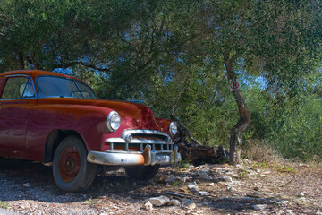 Old 1950s car parked in an olive grove, Paxos, Greece 