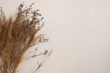 A bouquet of dry flowers on a white background near a place for text. Interior bouquet.