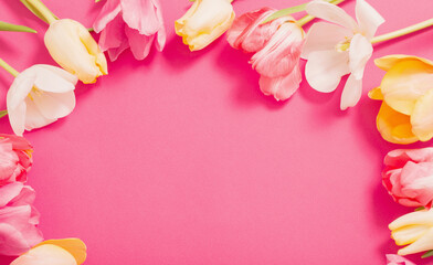 Fototapeta na wymiar frame of tulips on pink background