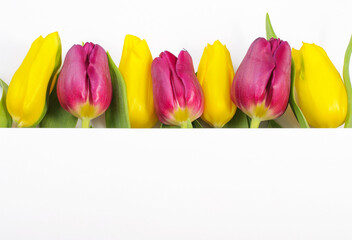 Creative spring arrangement of yellow purple flowers on a white background with copy space. spring background of tulips. women's Day