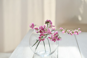delicate pink flowers in round glass vase. spring aesthetic. selective focus. minimal style home decor. wooden white table
