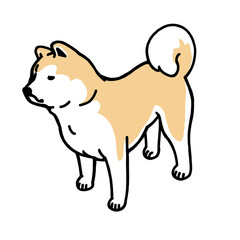 秋田犬（あきたいぬ）