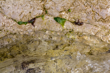 Texture created by nature. Wet stones